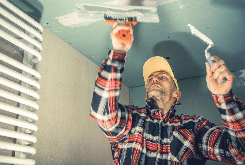 Bathroom Ceiling Painting